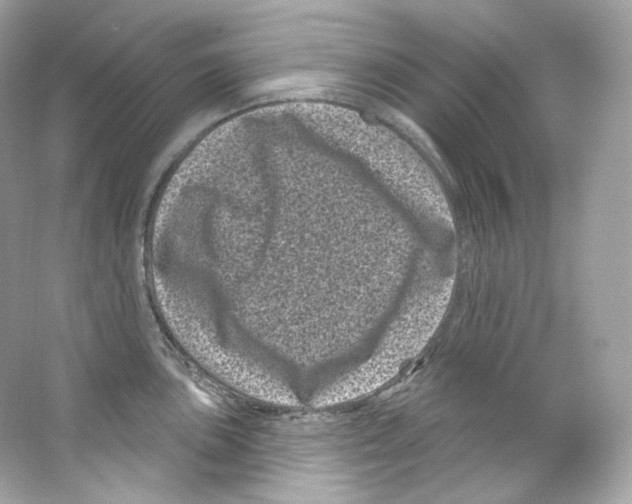 X0000065261051200603172225