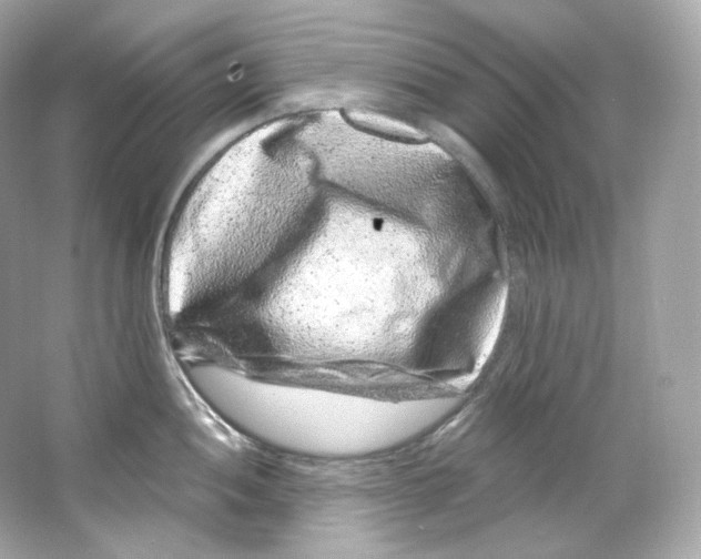 X0000065261052200603172225