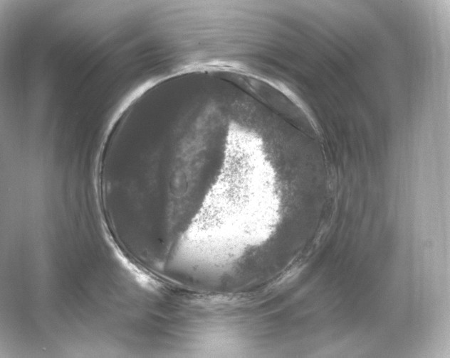 X0000065261054200603172225