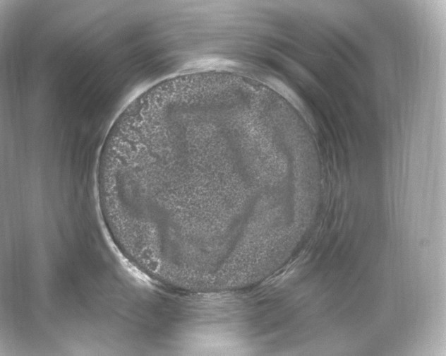 X0000065261055200603172225