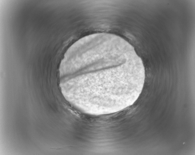 X0000065261057200603172225