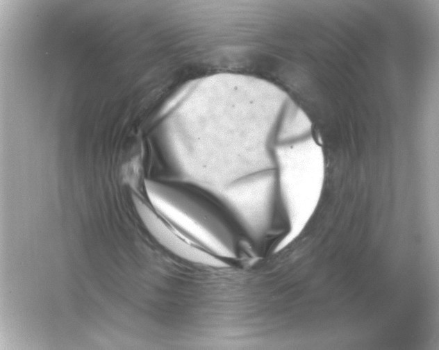 X0000065261058200603172225