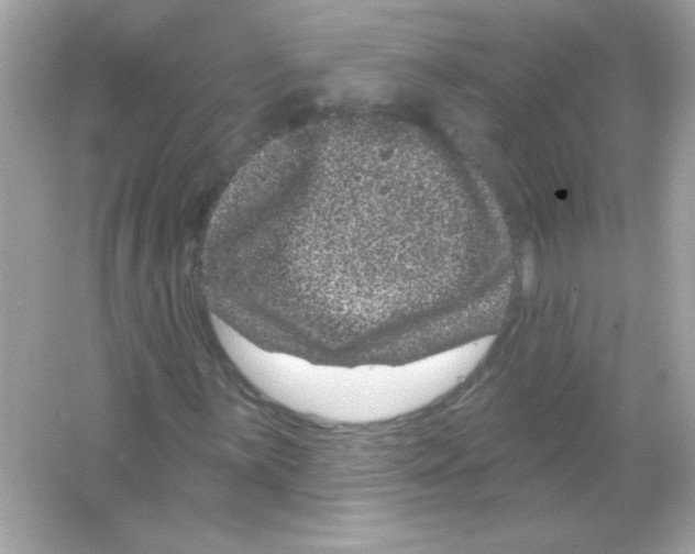 X0000065261059200603172224