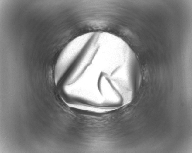 X0000065261061200603172224