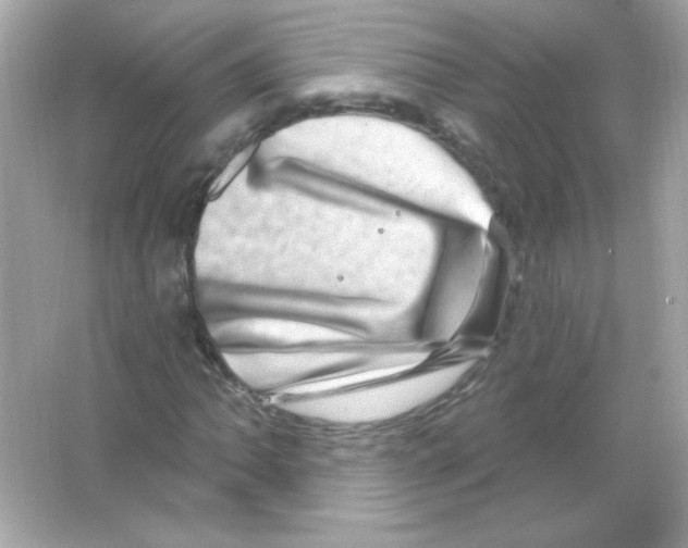 X0000065261062200603172224