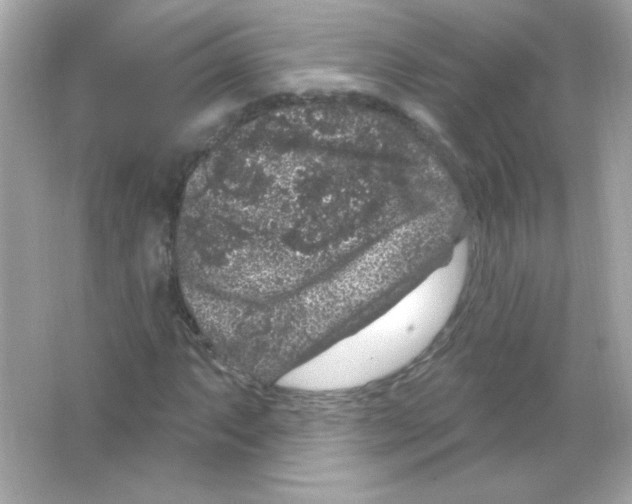 X0000065261063200603172224