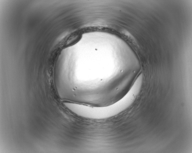 X0000065261064200603172224