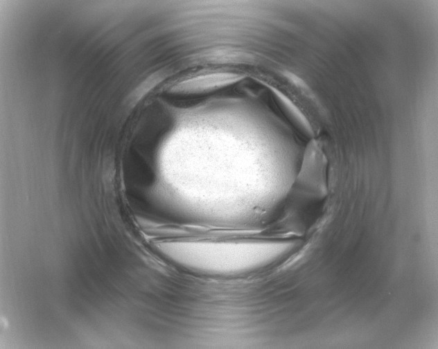 X0000065261065200603172224