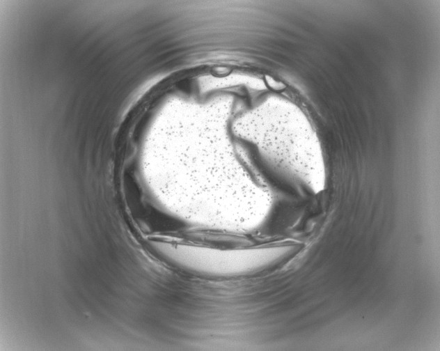 X0000065261066200603172224