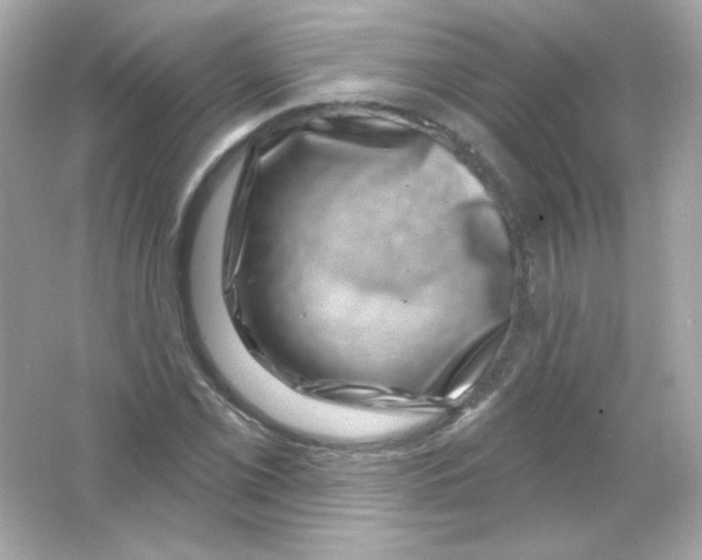 X0000065261069200603172224