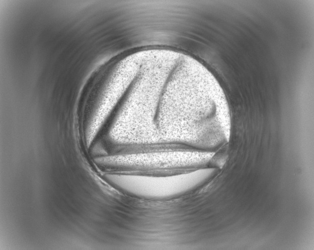 X0000065261072200603172224