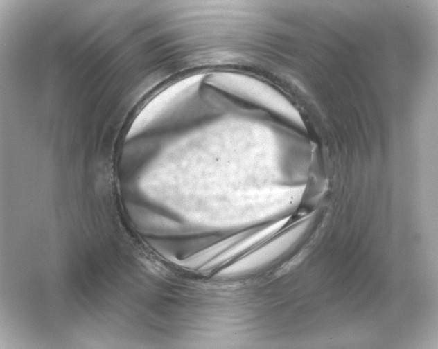 X0000065261073200603172224