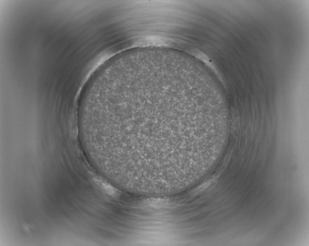 X0000065261075200603172224