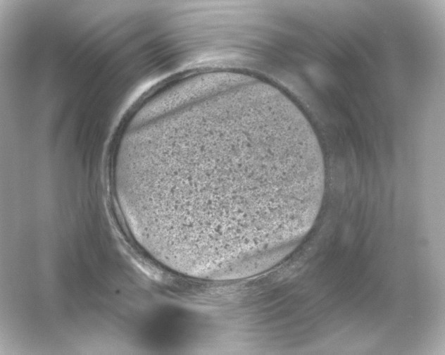 X0000065261078200603172224