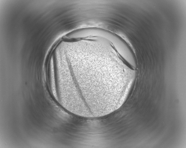 X0000065261080200603172224