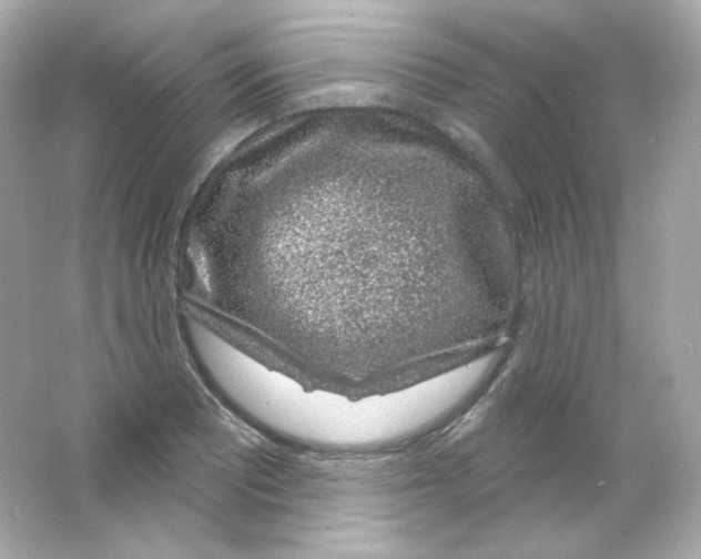 X0000065261081200603172224