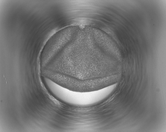 X0000065261083200603172224