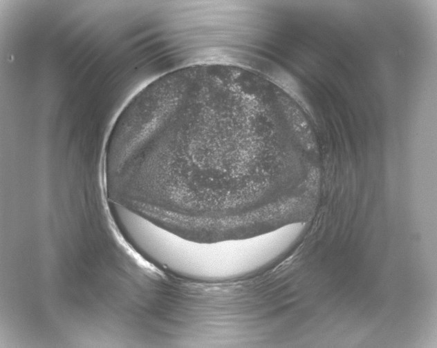 X0000065261084200603172224