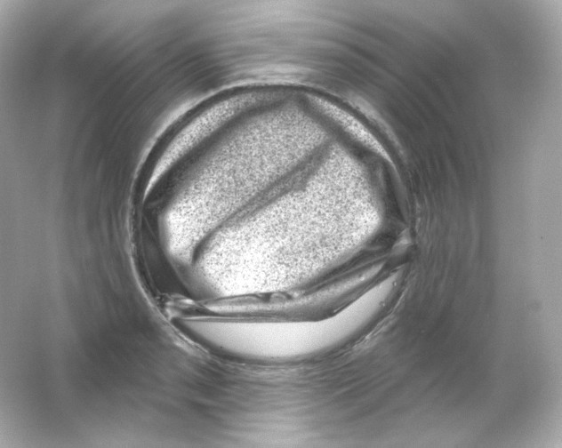 X0000065261085200603172224