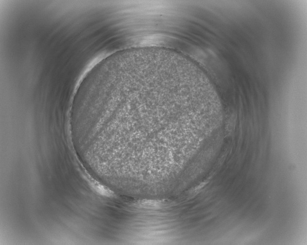 X0000065261086200603172224