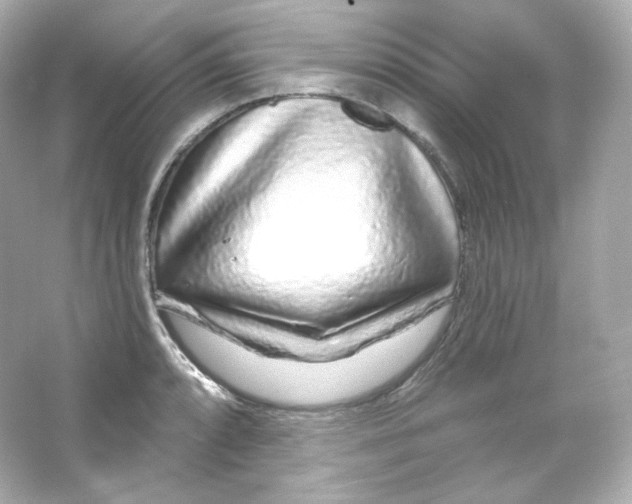 X0000065261088200603172224