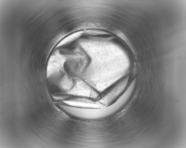 X0000065261089200603172224