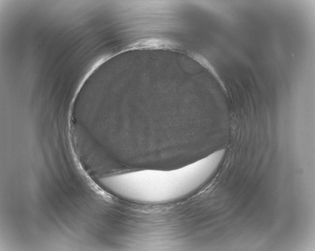 X0000065261091200603172224