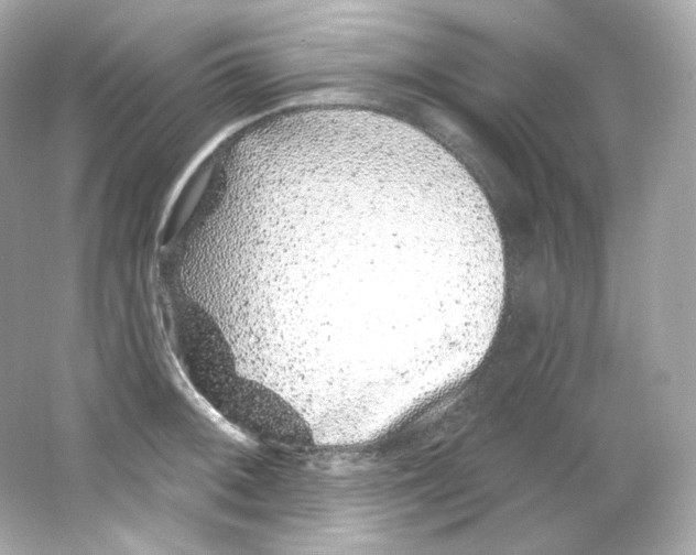 X0000065261092200603172224