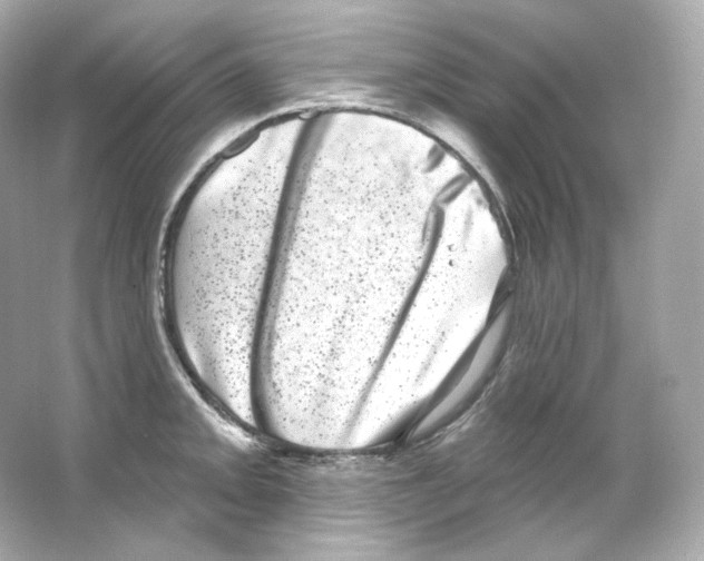 X0000065261093200603172224