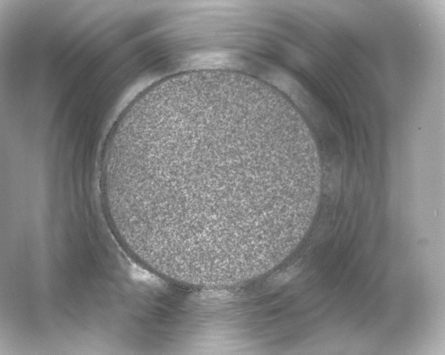 X0000065261094200603172224