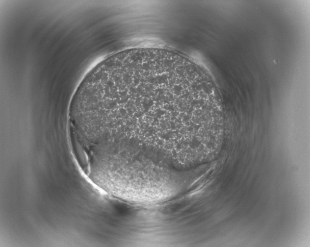 X0000065261095200603172224