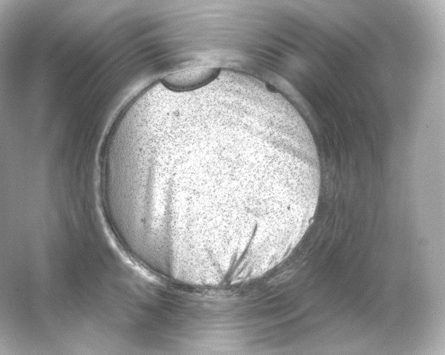 X0000065261096200603172224