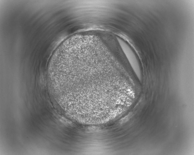 X0000065261097200603172224