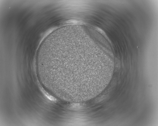 X0000065261098200603172224