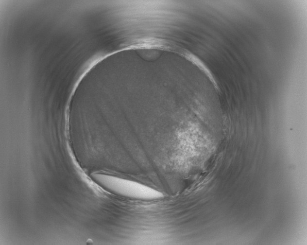 X0000065261099200603172224