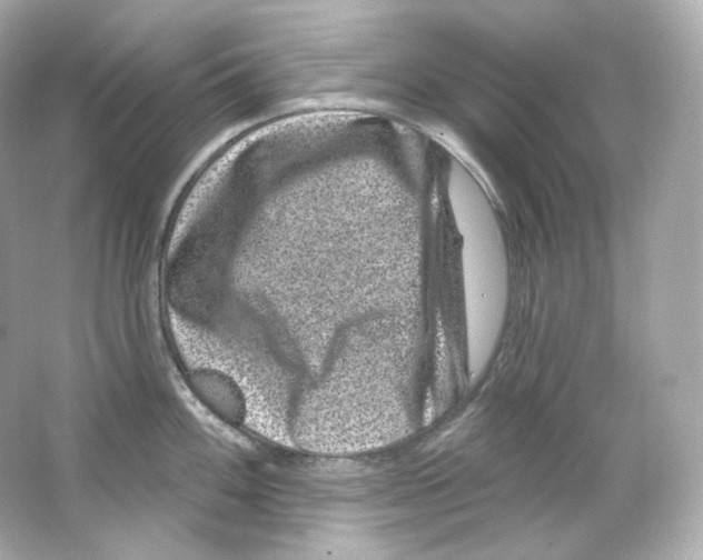 X0000065261100200603172224