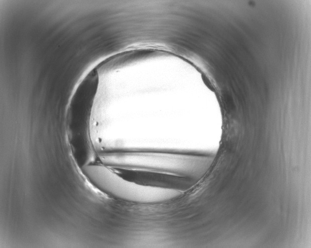 X0000065261102200603172224