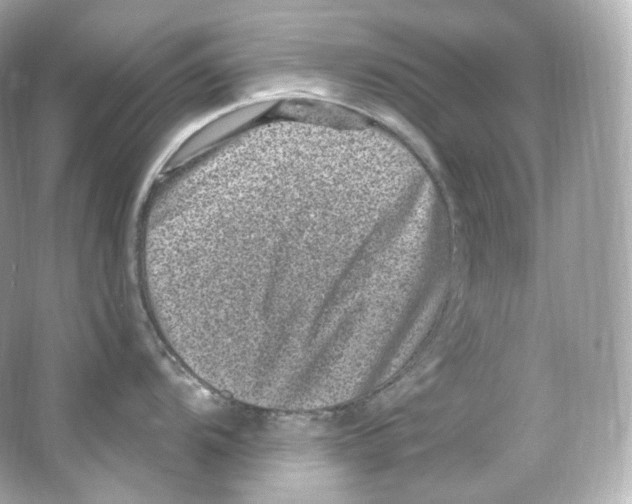 X0000065261104200603172224