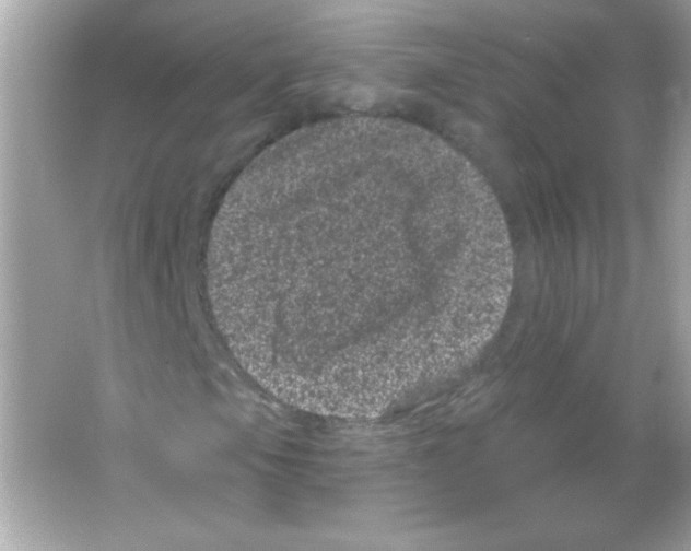 X0000065261105200603172223