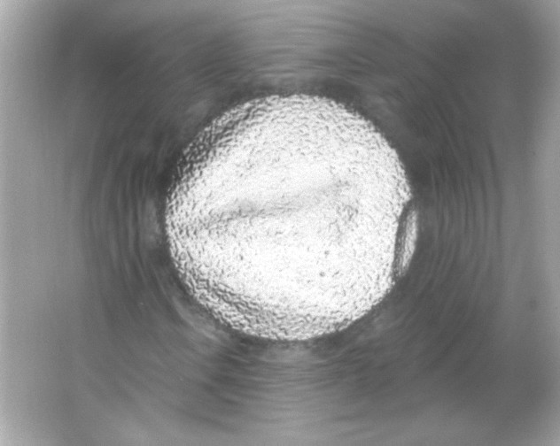 X0000065261106200603172223