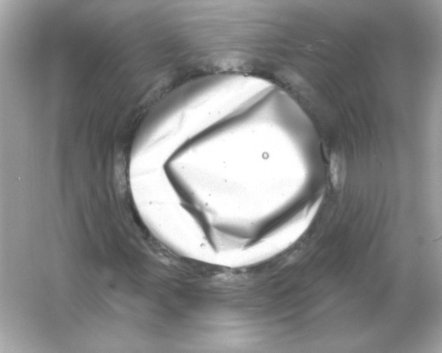 X0000065261107200603172223