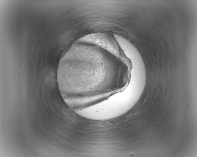 X0000065261108200603172223