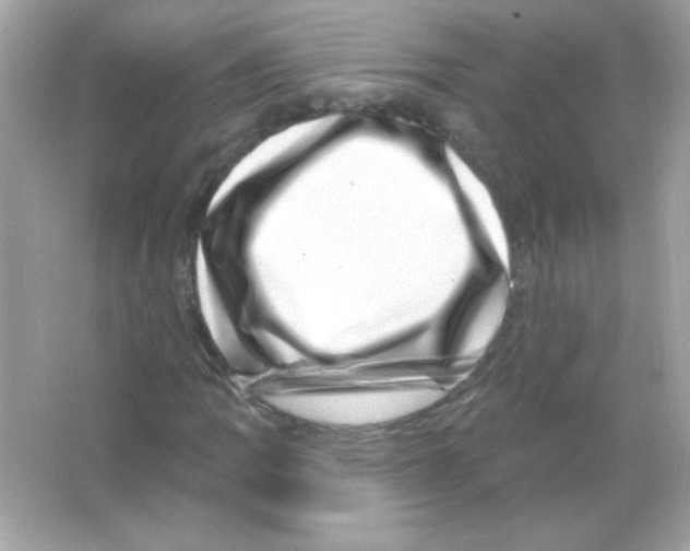 X0000065261109200603172223