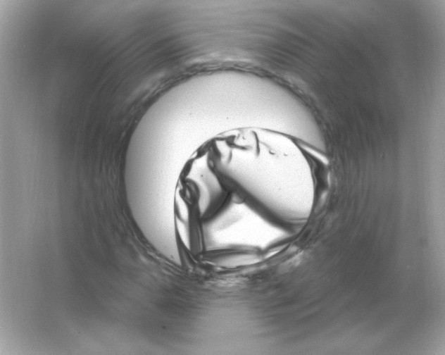 X0000065261110200603172223