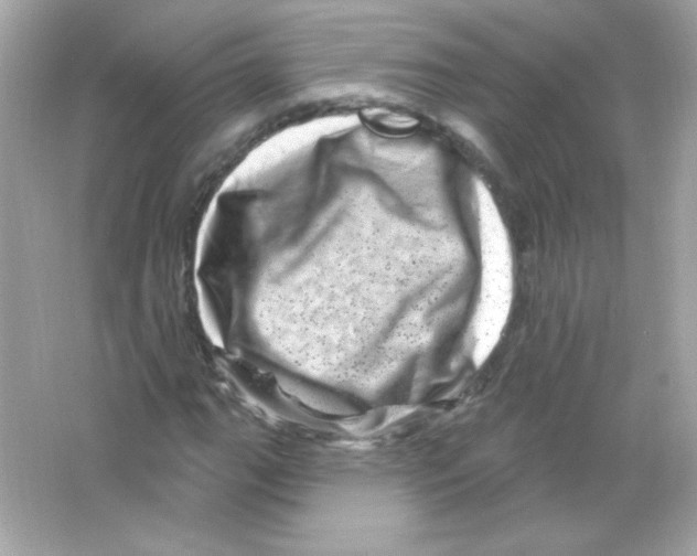 X0000065261111200603172223