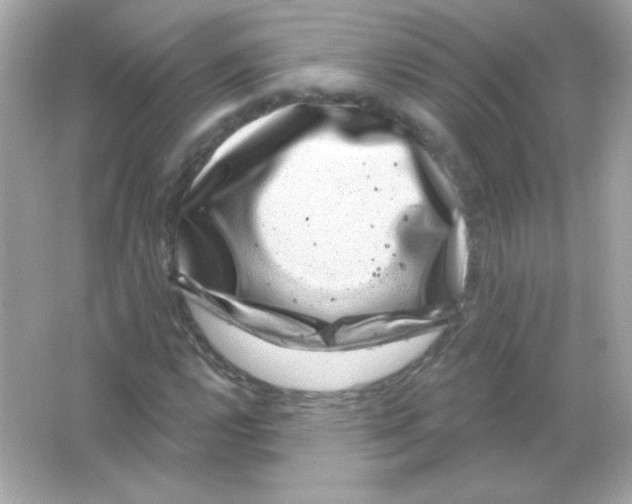 X0000065261112200603172223