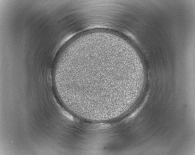 X0000065261113200603172223