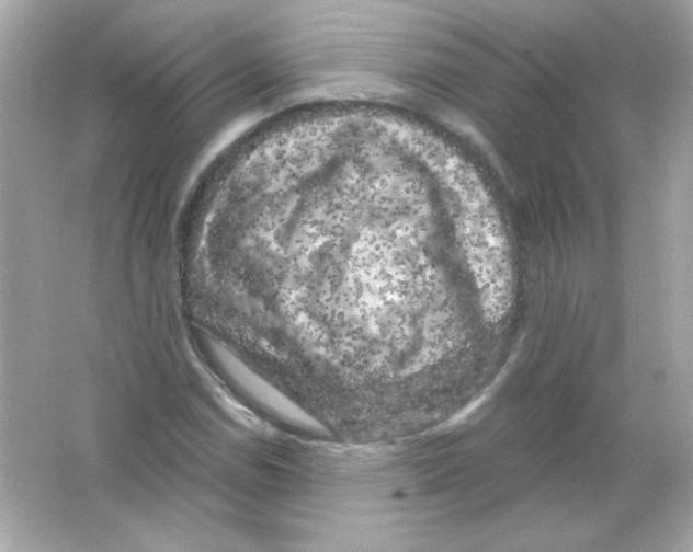 X0000065261114200603172223