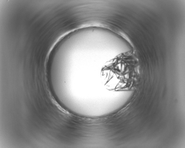 X0000065261116200603172223