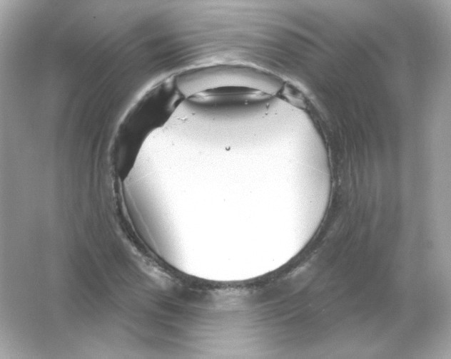 X0000065261118200603172223